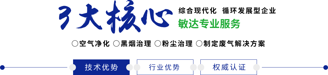 又粗又大鸡视频在线观看敏达环保科技（嘉兴）有限公司